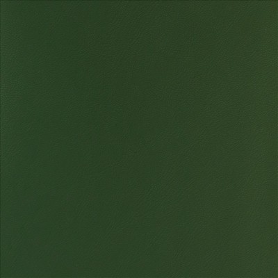 Kasmir TOP TIER         GRASS           